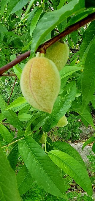 박¿일님의 자유주제 · 자유게시판 작성글 사진