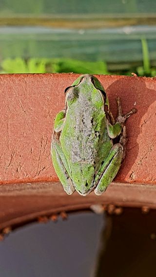 박¿일님의 자유주제 · 자유게시판 작성글 사진