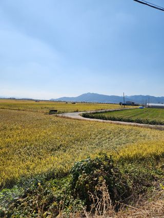 알 수 없음님의 벼 · 자유게시판 작성글 사진