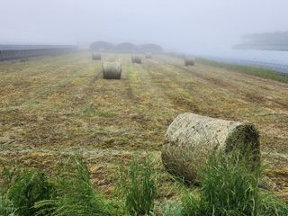 리차드권님의 자유주제 · 사진전 작성글 사진