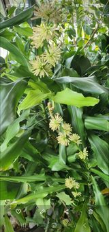 팜모닝 자유주제·사진전 게시글 이미지