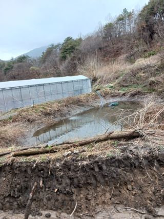 혁이네농원님의 포도 · 자유게시판 작성글 사진