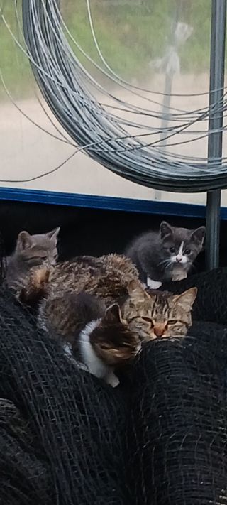 혁이네농원님의 포도 · 자유게시판 작성글 사진