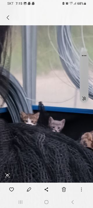 혁이네농원님의 포도 · 자유게시판 작성글 사진