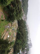 팜모닝 자유주제·사진전 게시글 이미지