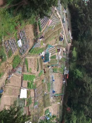 형남영님의 자유주제 · 사진전 작성글 사진