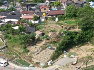 형남영님의 자유주제 · 사진전 작성글 사진