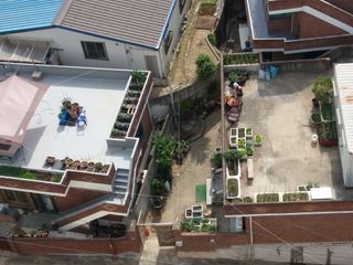 형남영님의 자유주제 · 사진전 작성글 사진