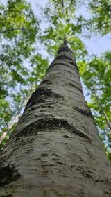팜모닝 자유주제·사진전 게시글 이미지