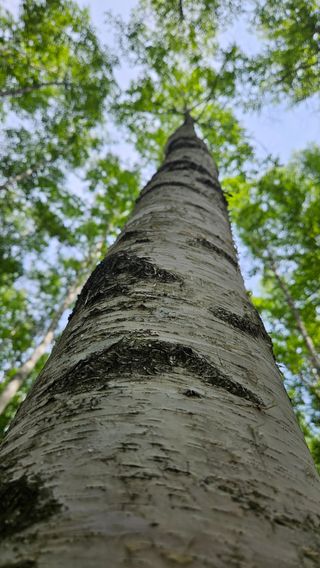 소백산오가피님의 자유주제 · 사진전 작성글 사진