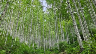 소백산오가피님의 자유주제 · 사진전 작성글 사진