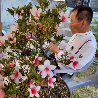 성낙호님의 감 · 자유게시판 작성글 사진