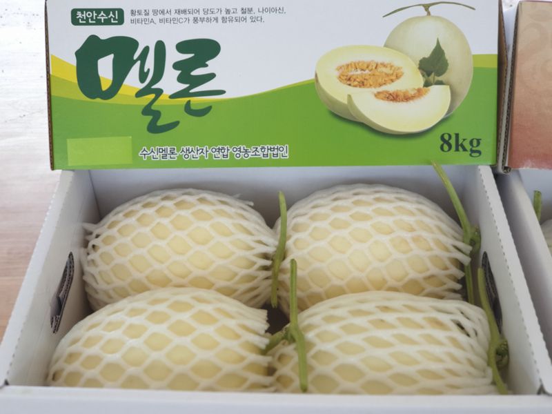 장터 상품 [천안 수신 멜론 4키로] 썸네일