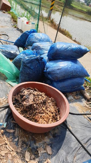 이봉수님의 고추 · 일상 작성글 사진