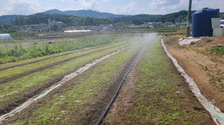 조병대님의 기타작물 · 자유게시판 작성글 사진