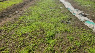 조병대님의 기타작물 · 자유게시판 작성글 사진