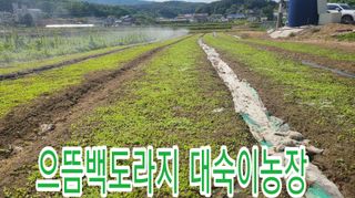 조병대님의 기타작물 · 자유게시판 작성글 사진