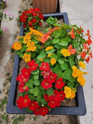 귤20971님의 귤 · 일상 작성글 사진