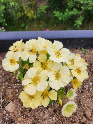 귤20971님의 귤 · 일상 작성글 사진