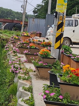 귤20971님의 귤 · 일상 작성글 사진