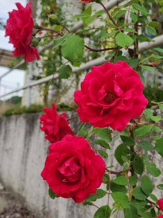 귤20971님의 귤 · 일상 작성글 사진