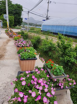 귤20971님의 귤 · 일상 작성글 사진