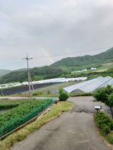 팜모닝 자유주제·자유게시판 게시글 이미지