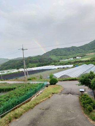 임동화님의 자유주제 · 자유게시판 작성글 사진