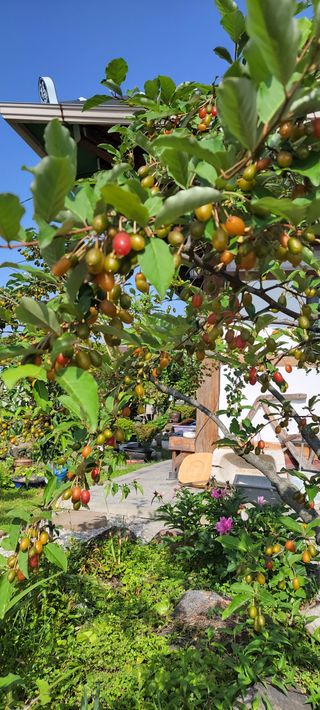 김중언님의 농자재정보 · 제품정보 작성글 사진