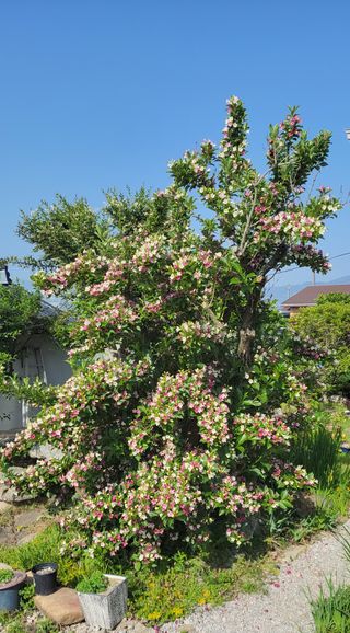 김중언님의 농자재정보 · 제품정보 작성글 사진