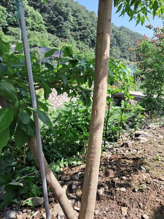 경선님의 자유주제 · 자유게시판 작성글 사진