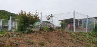 양성근님의 기타작물 · 자유게시판 작성글 사진