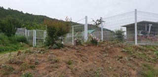 양성근님의 기타작물 · 자유게시판 작성글 사진