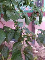 팜모닝 자유주제·사진전 게시글 이미지