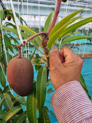 청주애플망고농장님의 자유주제 · 사진전 작성글 사진