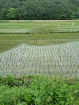 팜모닝 우리동네·동네정보 게시글 이미지