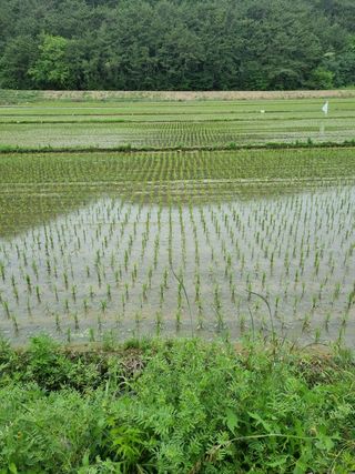 장광준님의 우리동네 · 동네정보 작성글 사진