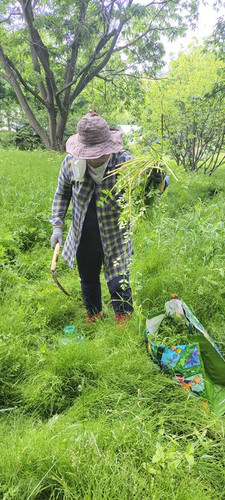 윤석돈님의 기타작물 · 자유게시판 작성글 사진