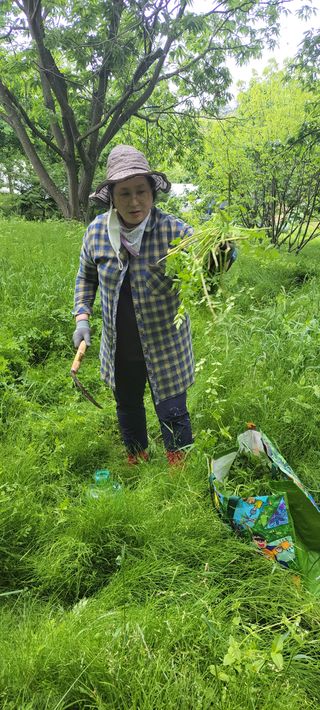 윤석돈님의 기타작물 · 자유게시판 작성글 사진