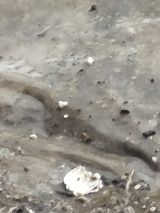 팜모닝 자유주제·자유게시판 게시글 이미지