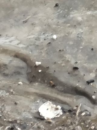 빛그린 김용화님의 자유주제 · 자유게시판 작성글 사진