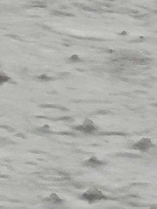 빛그린 김용화님의 자유주제 · 자유게시판 작성글 사진