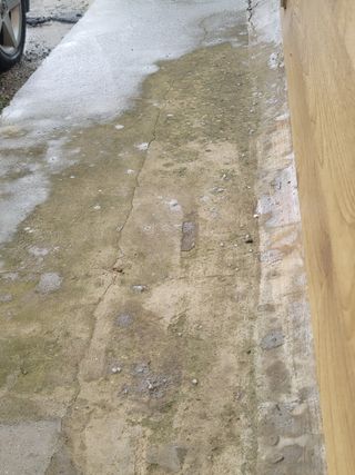 빛그린 김용화님의 자유주제 · 자유게시판 작성글 사진