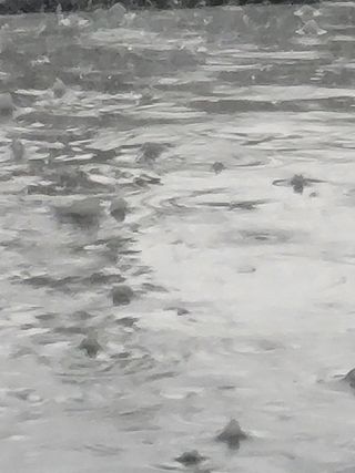 빛그린 김용화님의 자유주제 · 자유게시판 작성글 사진