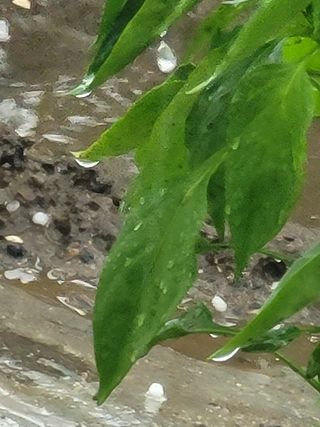 빛그린 김용화님의 자유주제 · 자유게시판 작성글 사진