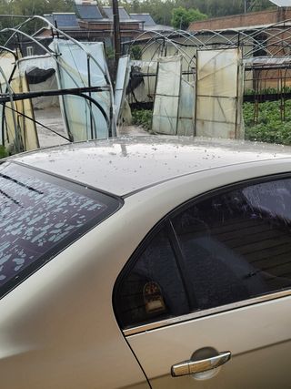 빛그린 김용화님의 자유주제 · 자유게시판 작성글 사진