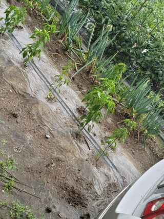 빛그린 김용화님의 자유주제 · 자유게시판 작성글 사진