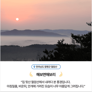 팜모닝님의 팜모닝공식 · 혜택 작성글 사진