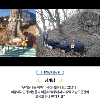 팜모닝님의 팜모닝공식 · 혜택 작성글 사진