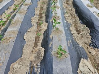 김용석님의 자유주제 · 자유게시판 작성글 사진